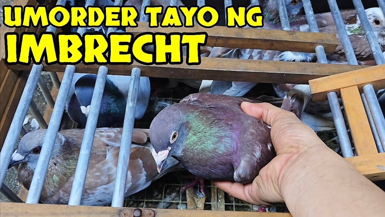 Napaka SOLID ng mga bagong aalagaan natin!