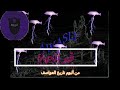  قبر الحياة  