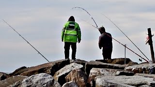 PESCA Y SORPRESA CON LA CAPTURA DE UN PEZ FUERA DE TEMPORADA Y A FLOTE