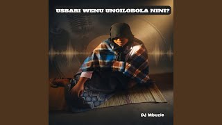 Usbari Wenu Ungilobola Nini