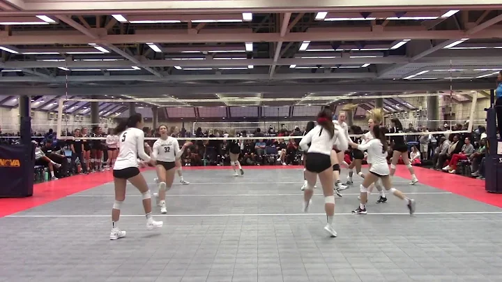 Megan Lucey 5' 10" 2019 Pin Hitter