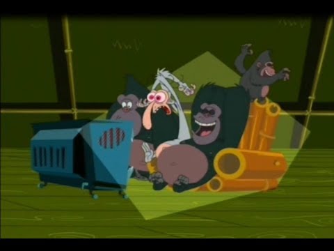 Space Goofs - Compilation #Animals