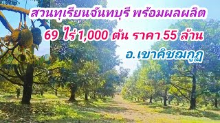 EP543.สวนทุเรียนจันทบุรี พร้อมผลผลิต 69 ไร่ 1,000ต้น อ.เขาคิชฌกูฏ สนใจติดต่อ0981473498,0887902134