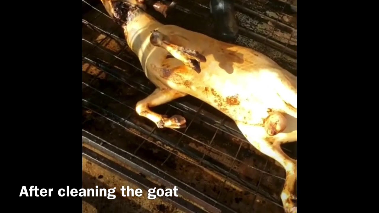 BUYING AND BUTCHERING GOAT IN THE USA YouTube