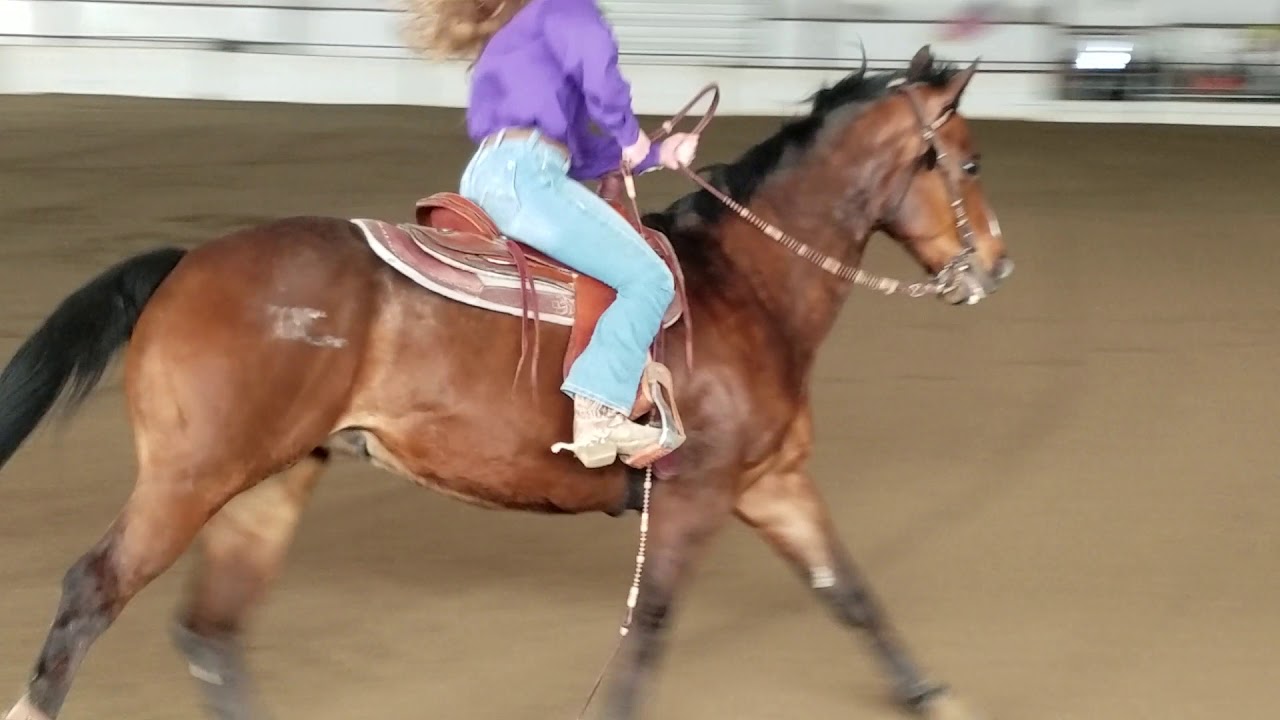 13yo Gelding Reining horse for sale(reining pattern 1 handed) YouTube