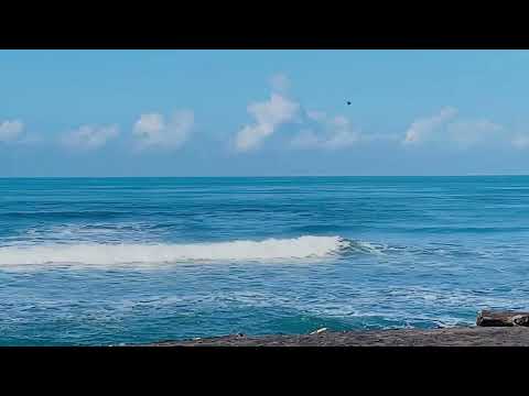 Ocean Beach at Dawn ☁️ Gentle Wave Ambience