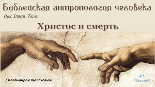 Христос И Смерть. Какая Разница, Что Там За Порогом Жизни? Библейская Антропология #9 (17.02.2023)