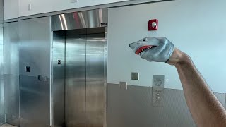 SB Movie: Shark Puppet goes on an elevator! (Part 37)