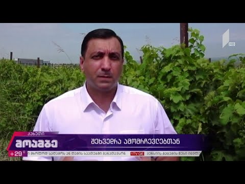 შეხვედრა ამომრჩეველთან