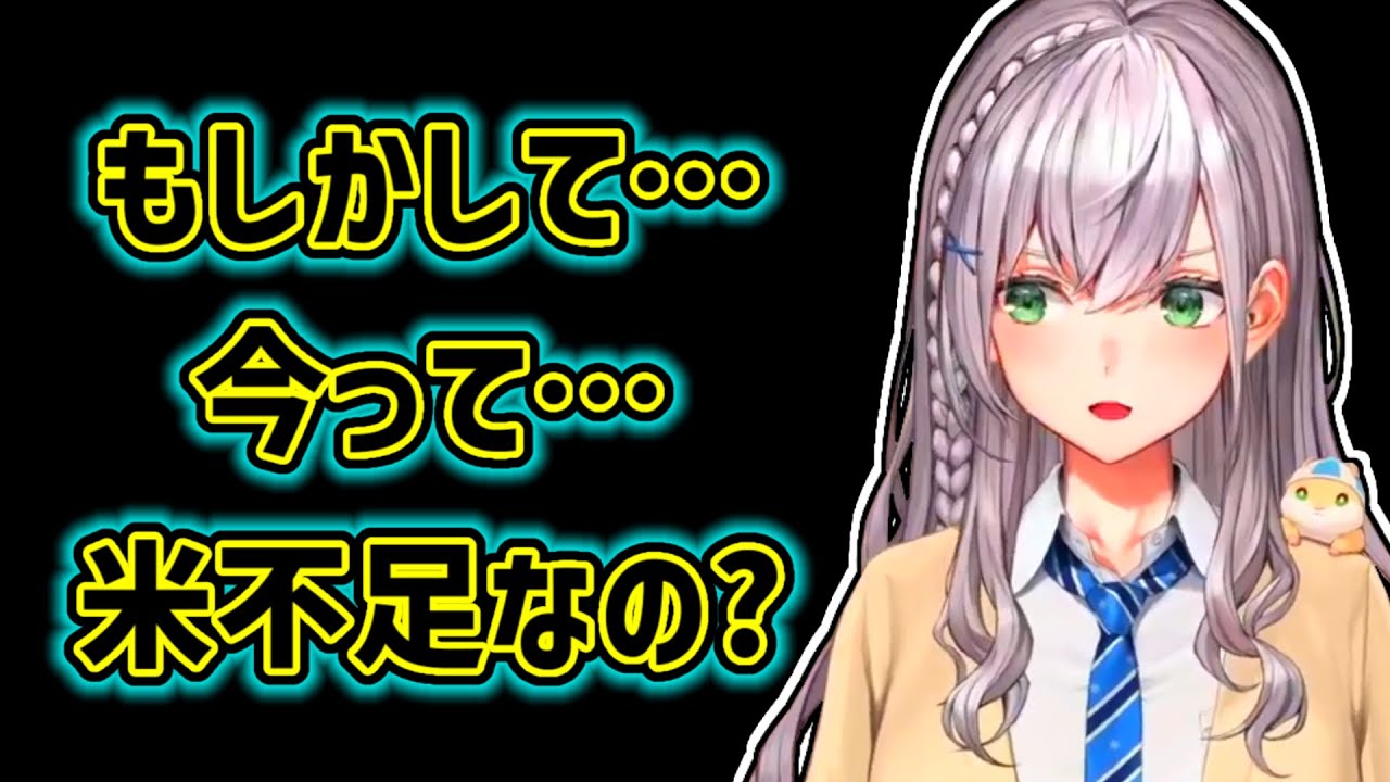 【白銀ノエル】価格高騰で米が入手しづらくなっている事に気付くノエル【ホロライブ切り抜き】