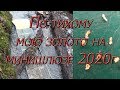 По тихому мою золото на минишлюзе в 2020г!!!