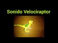 Sonido de dinosaurio Velociraptor.