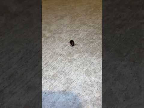 Sup guy. #viralvideo #funny #viralshort #viral #memes #funnyshorts #funnymemes