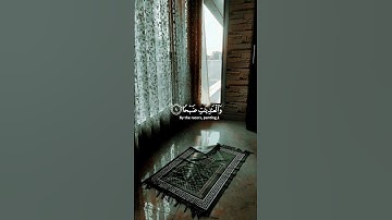 اية من سورة العاديات || القارئ بشار سراج