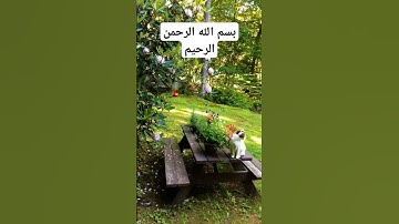 #تلاوة_خاشعة #ماهر_المعيقلي #قرآن #اكسبلور #islamicvideo #islamicstatus #reels #اذكار #لايك #duet