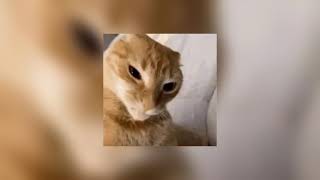 Gigachad Theme Sped Up