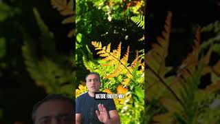 Nature or Neglect? Plants Are Taking Over the City!