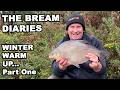 The Bream Diaries   Part 1