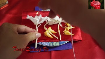 Bí quyết luyện ngải  Huyết Hổ và bông ngải thủy diệp tiên( tình duyên)ít người biết.