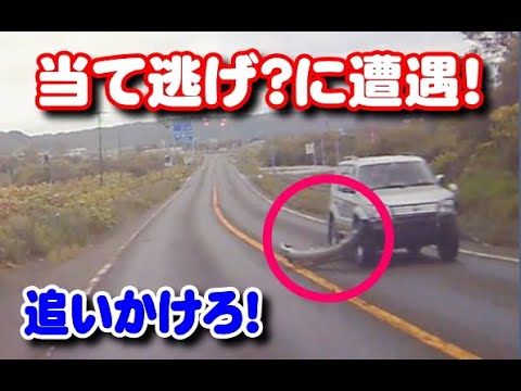 Hit and run] Chase the hit and run! Honk the horn and chase after