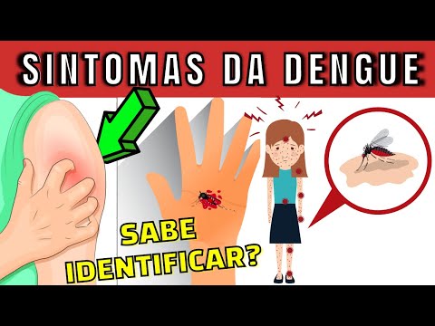 Vídeo: Como reconhecer e tratar a dengue (com fotos)