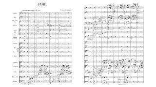 Hermann Goetz – Nenie