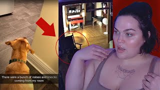 Omg, These Scary YouTube Videos are TERRIFYING... Wanna Watch? 👀 Scream Stream *LIVE*