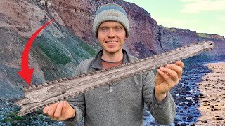 Fossil CROC Jaw! Solo Fossil Hunting Success!