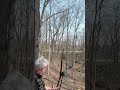Black Bear in the valley. #bowhunting #traditionalarchery #archery
