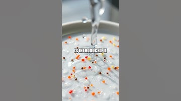 The Floating Soap Experiment