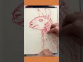 Focusing on Orange: Llama sketch