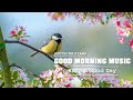 Good Morning Music ❤️ Classical Music -Strong Positive Energy - Wake Up Renewed - Meditation Music