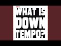What is downtempo