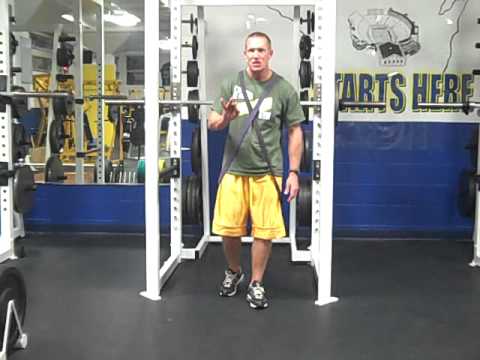 Barbell Squats With Bands