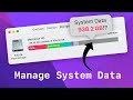 Reclaim storage/space from System Data in macOS