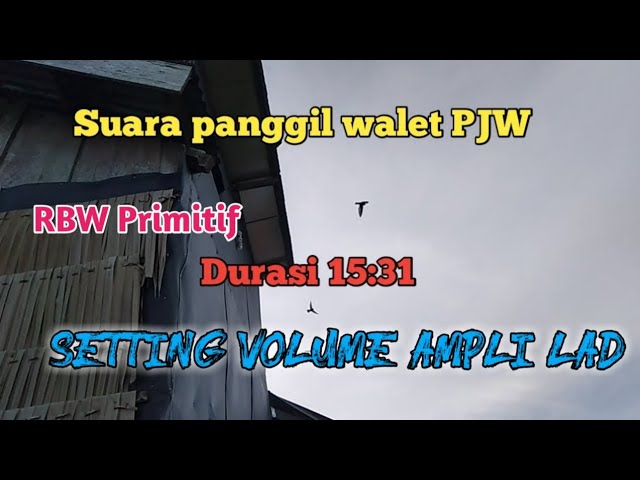 Settingan Volume Ampli LAD// Suara panggil PJW class=