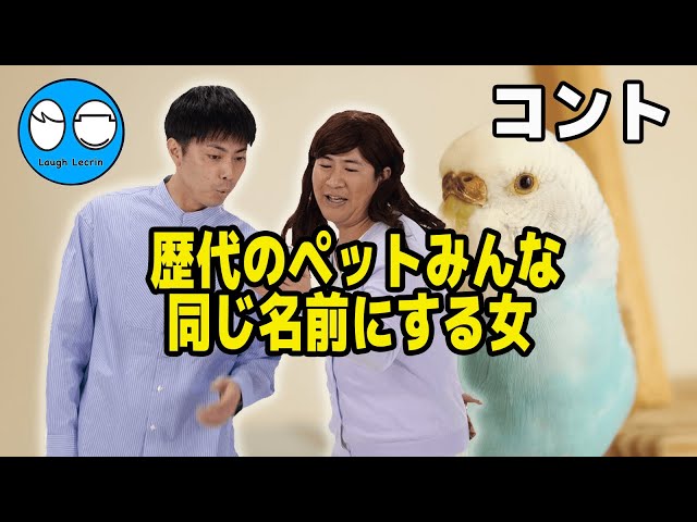 【公式】コットン コント『歴代のペットみんな同じ名前にする女』