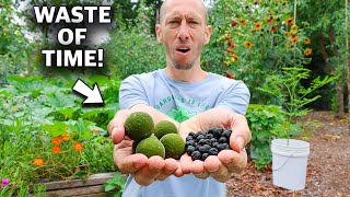 WARNING! 5 Crops I would NEVER Grow Again in my Garden!