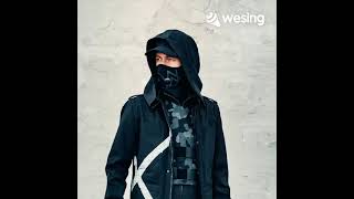 Alan Walker  -  Unity