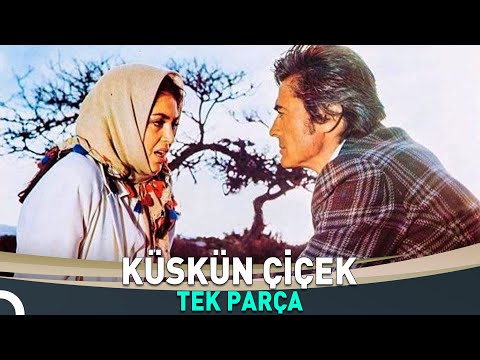 Küskün Çiçek | Cüneyt Arkın - Türkan Şoray Eski Türk Filmi