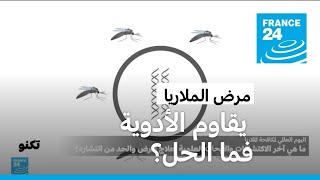 اليوم العالمي لمكافحة الملاريا: المرض بات يقاوم الأدوية، ما هي باقي الحلول المتوفرة؟