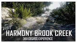 Meditation vr - visit harmony brook creek in virtual reality