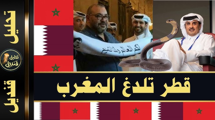 المغرب وثمن التضحية بالسعودية ومصر والامارات اللدغة قطرية Youtube