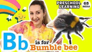 Preschool Learning: Letter B, Bees & Bugs (65 min class)