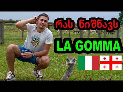 სიტყვები იტალიურად! იტალიური ენის გაკვეთილი GIVI GELASHVILI