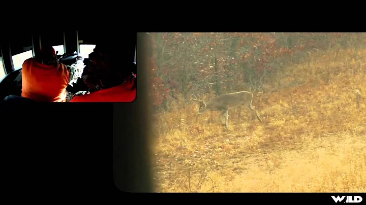 Addicted To The Outdoors - Kentucky Big Buck Properties