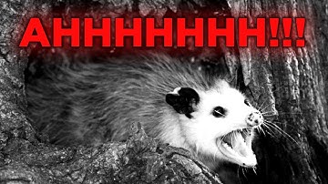 Watch This Before You Scream Into The Void Tonight