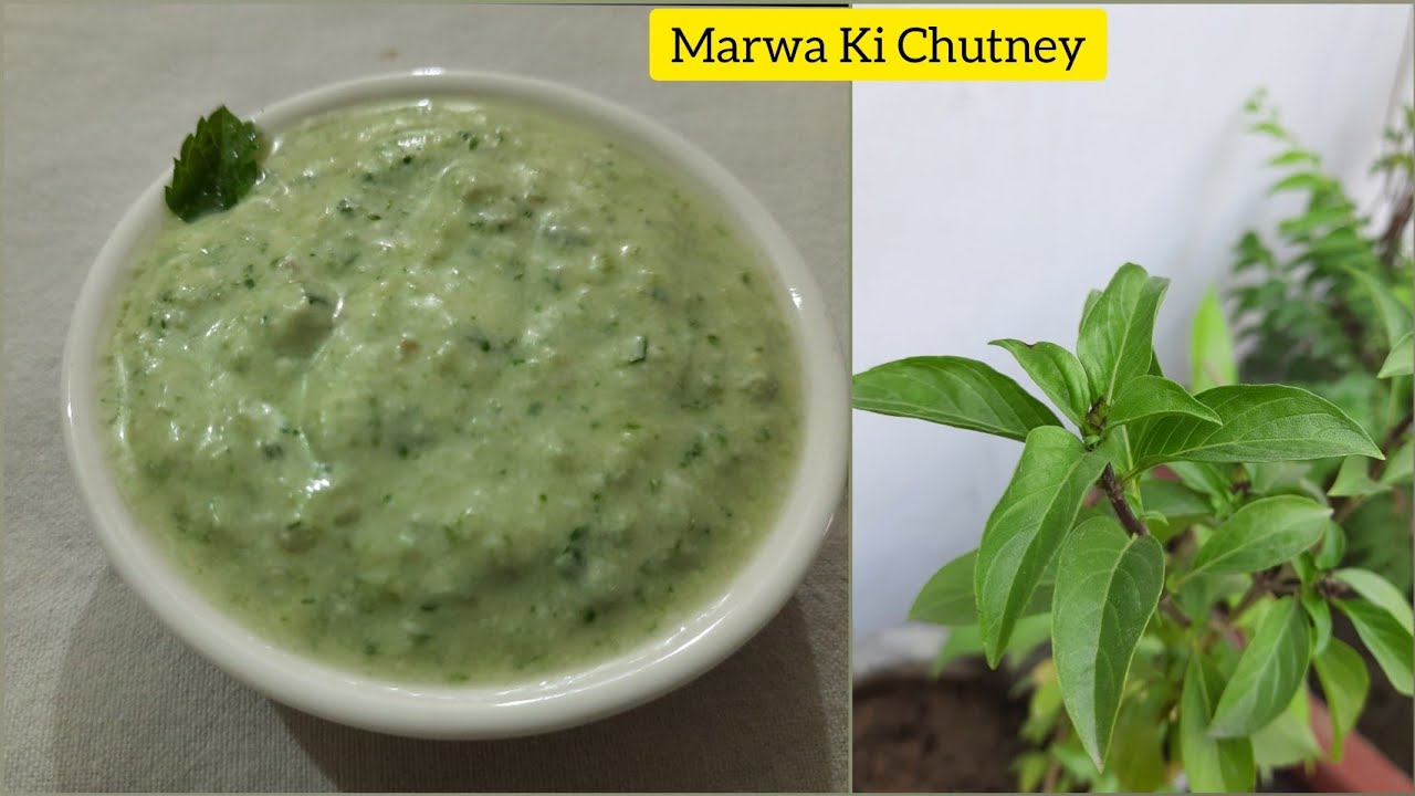 मरूआ की चटनी || Marwa/Marua Ki Chutney || Sweet Basil Chutney || Ayushi Sholet's Kitchen ||