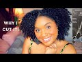 Why I Cut My High Porosity Natural Hair Short...AGAIN!!!