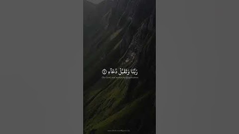 القران الكريم ا دبي